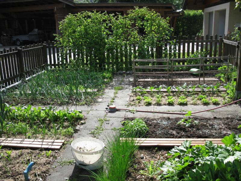mein Garten im Fr&uuml;hling