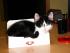Platz ist in der kleinsten H�tte ; - )