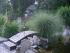 Teich