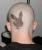Playboyh�schen