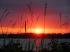 Sonnenuntergang an der Kieler F�rde.....