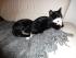 full_dsc00115.jpg