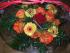 full_bild1863.jpg
