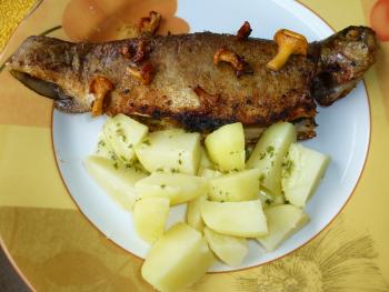 WW 19 07 12 Fragen Tipps Rezepte Austausch 1241339122