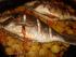 full_dsc04864.jpg