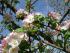 full_dsc06593.jpg