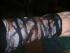 full_pict0001.jpg