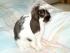 full_j4100019.jpg