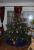 Unser Baum