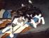 Katzen 2