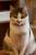 full_minka_0101.jpg