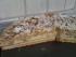 Kuchen1