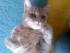 full_bild019.jpg