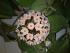 full_dsc00010.jpg