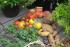 full_100_0428.jpg
