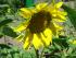 full_dsc05043.jpg