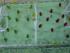 Fu�ballfeld-WM Kuchen