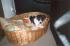 Unser Binchen