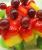 ...Spritzigfruchtige-Spie�erbande
