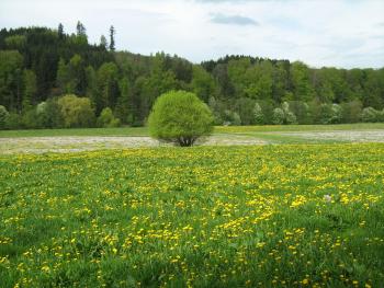 Gericht tr&ouml;stet 3002515888