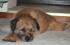 full_Fenway resting.jpg