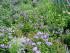 full_dsc01055.jpg