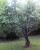 full_dsc00014.jpg