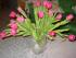 full_dsc00587small.jpg