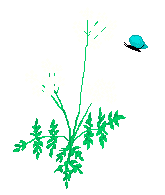 \"\"