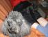 full_07.03.11.jpg