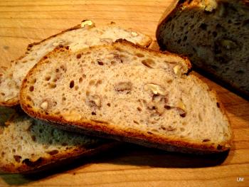 Brot Br&ouml;tchen backen 04 08 10 08 2012 2544526737