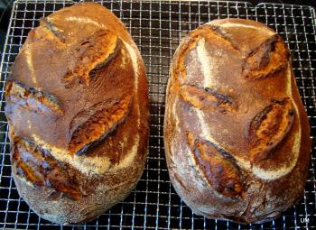 Brot Br&ouml;tchen backen 04 08 10 08 2012 216516811