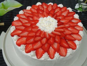 Erdbeertorte mit zarter Joghurtcreme