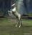 full_unicornkopie.jpg