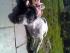 ....sooooo m�de