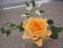 full_kbilder2012rosenachibakclaudia.jpg