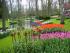 full_p5010001.jpg