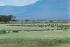 weites Land