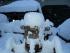 das ist unser tracktor ernie hei�t er und hilft beim holzs�gen gerade schl�ft er den verdienten winterschlaf