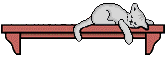 \"\"