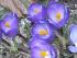 full_pict0047.jpg