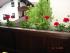 full_dsc03046.jpg
