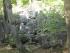 full_sdc10319.jpg
