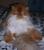 B�rchen