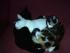 full_pic_0045.jpg