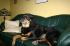full_test009.jpg