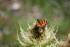 full_dsc_0344.jpg