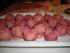 aus weiteren kleinen Kugeln vier F��e machen, Schw�nzchen drehen und andr�cken