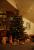 full_weihnachtsbaumjutta2010.jpg