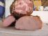 ...Filet, Lachs und Nacken ger�uchert....und im Anschnitt...Aalrauchgeschmack!!!!!!, zart wie Butter....